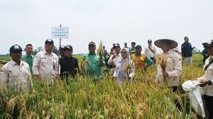 Menuju Pertanian Modern Berkelanjutan, Distan Buleleng Gelar Diklat ‘Rice Transplanter’