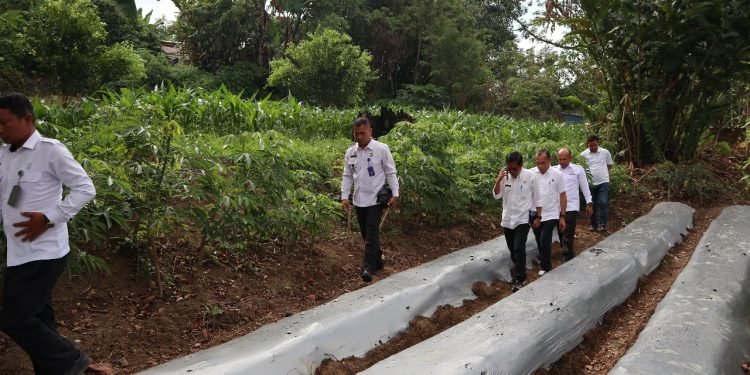 Pantau Langsung Kegiatan Pembinaan Di Bidang Pertanian