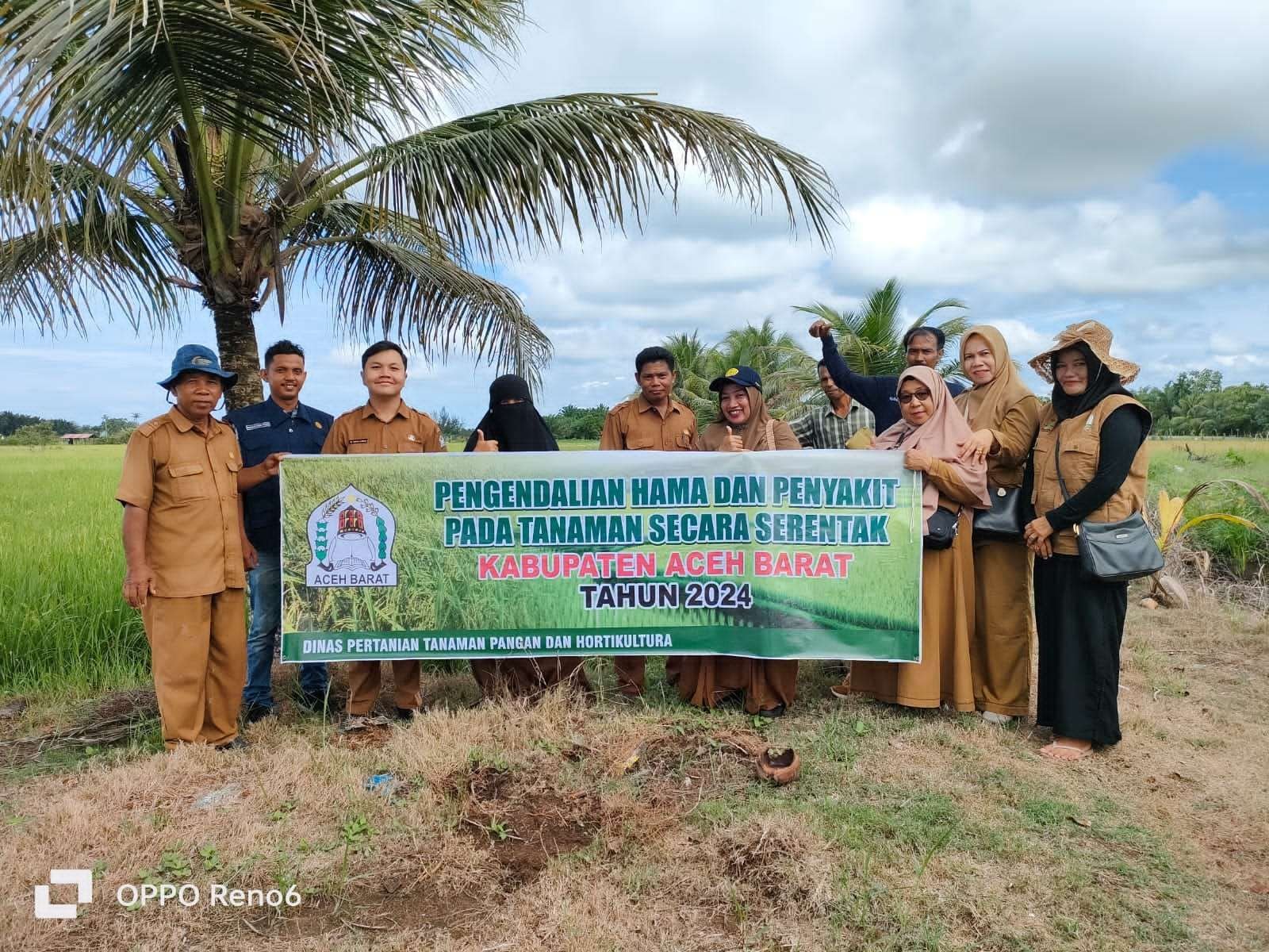 Pengendalian hama padi